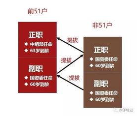 你不知道的央企級(jí)別 揭開(kāi)體制內(nèi)的神秘面具與企業(yè)資產(chǎn)管理